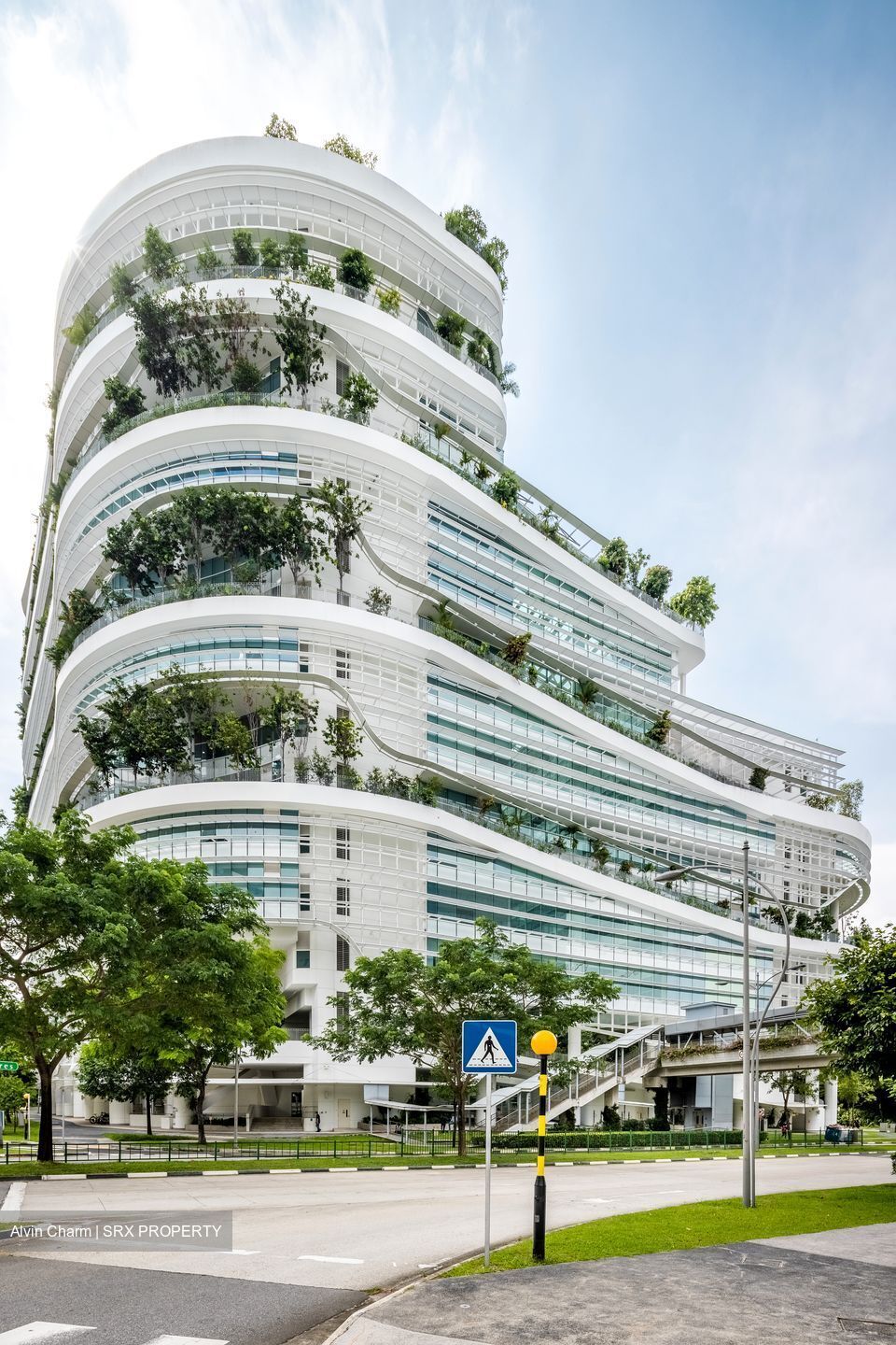 Solaris (D5), Office #440184061